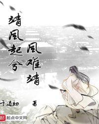 靖风起兮风难靖封面