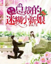 宠妻无度：总裁的迷糊小新娘封面