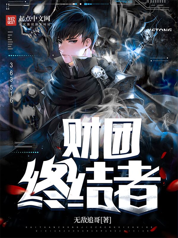 财团终结者封面