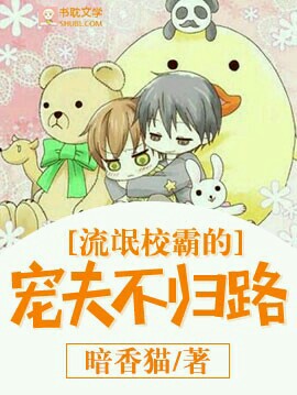 流氓校霸的宠夫不归路封面