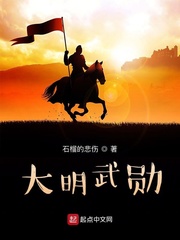 大明武勋封面