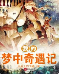 我的梦中奇遇记封面