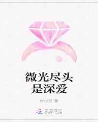 微光尽头是深爱封面