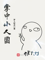 掌中小人国封面