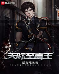 天际至高王封面