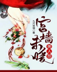 宫墙未暖:美人怨封面