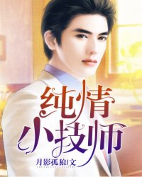 纯情小技师封面