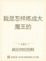 我是怎样炼成大魔王的封面
