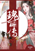 瑰丽传封面