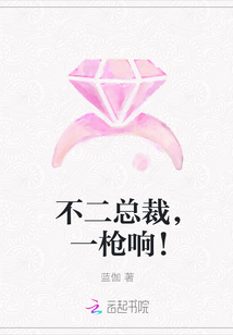 不二总裁，一枪响！封面