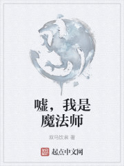 嘘，我是魔法师封面