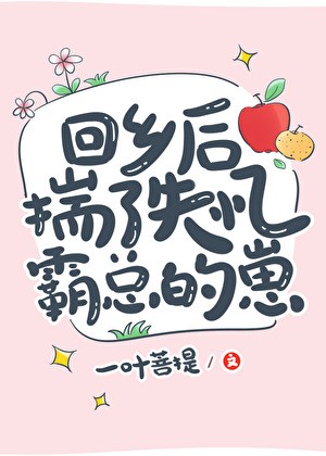 回乡后揣了失忆霸总的崽封面