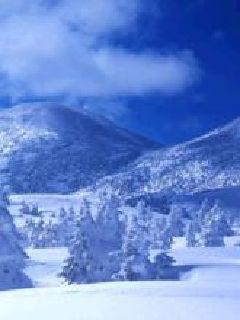 不死者之王之第42至尊封面