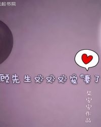 顾先生又又又宠妻了封面