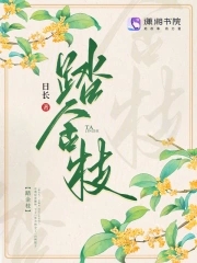 踏金枝封面