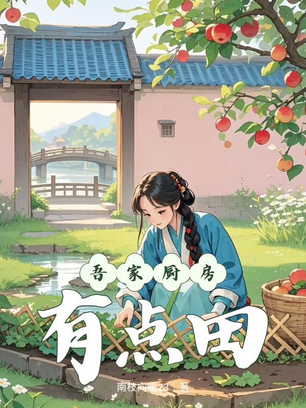 吾家厨房有点田封面