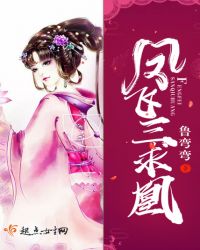 凤飞三求凰封面