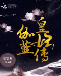 伽蓝皇妃传封面