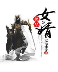 极品女婿封面