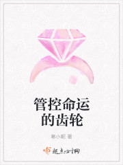 管控命运的齿轮封面