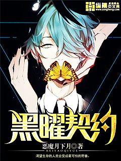 黑曜契约封面