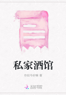私家酒馆封面