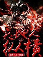 天地人之纵横封面