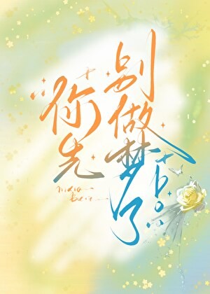 你先别做梦了封面