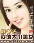 都市之我的大小美女封面