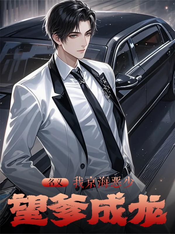 名义:我京海恶少,望爹成龙封面