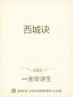 西城诀封面