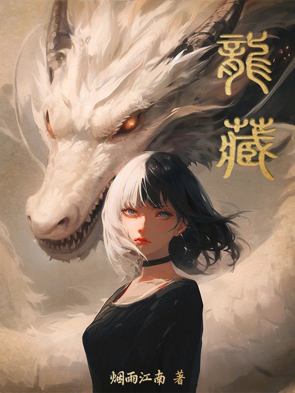 龙藏封面