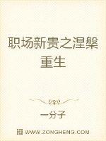 职场新贵之涅槃重生封面