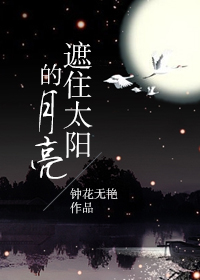 遮住太阳的月亮封面