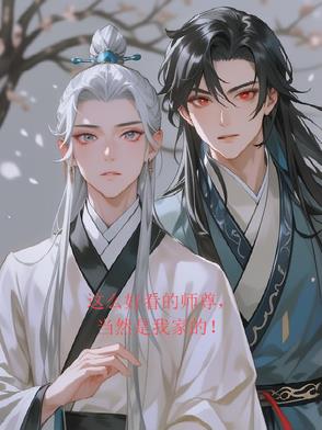 师无悔封面