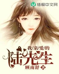 我亲爱的陆先生封面