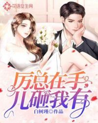 厉总在手儿砸我有封面