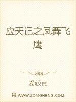 应天记之凤舞飞鹰封面