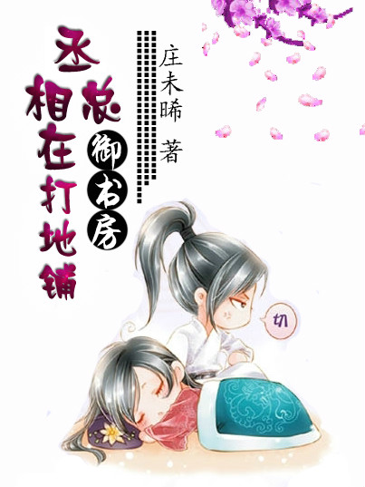 丞相总在御书房打地铺封面