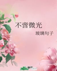 不啻微光封面