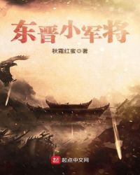 东晋小军将封面