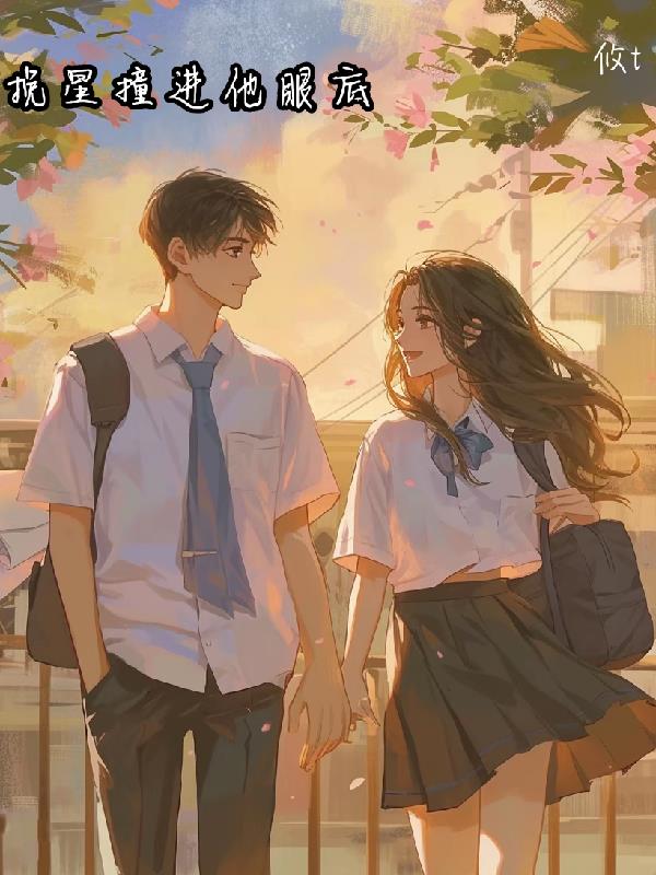 挽星撞进他眼底封面