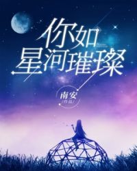 你如星河璀璨封面