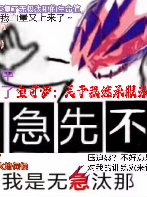 宝可梦：关于我继承服务器存档封面