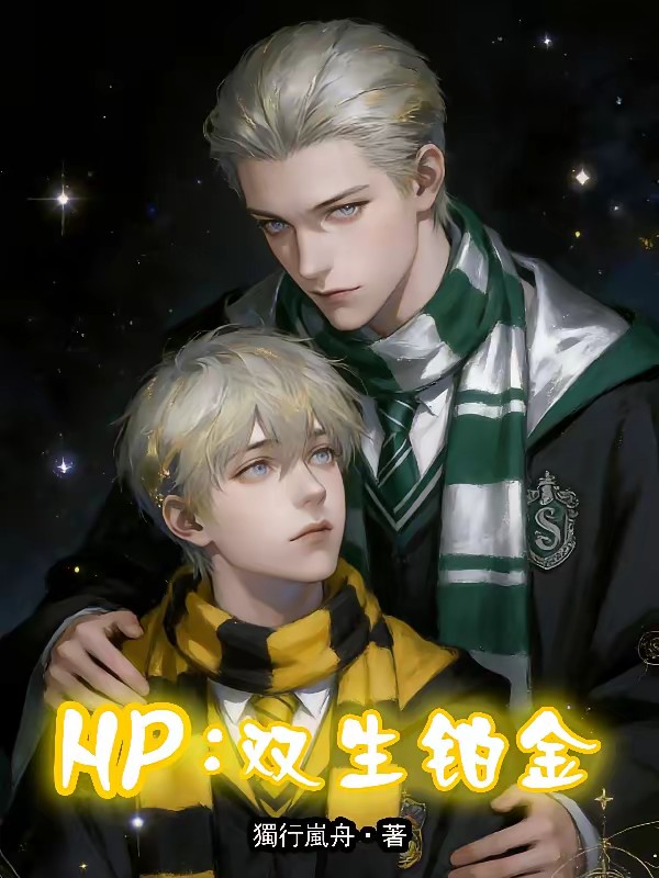 HP：双生铂金封面