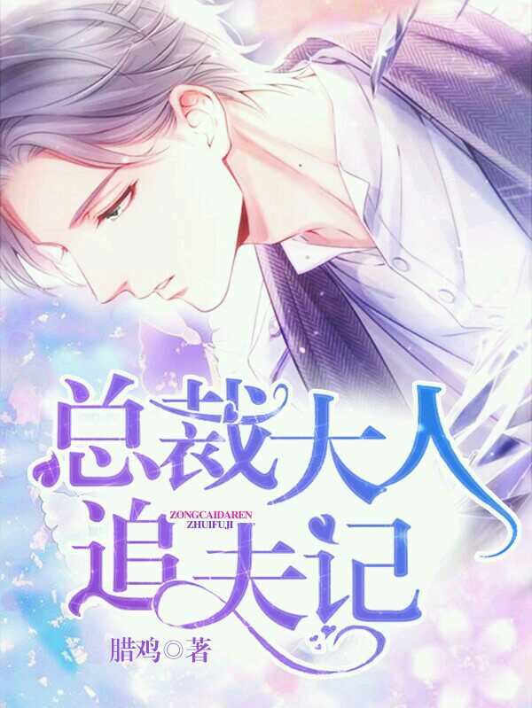 总裁大人追夫记封面