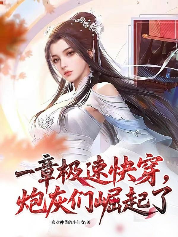 一章极速快穿，炮灰们崛起了封面