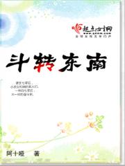 斗转东南封面