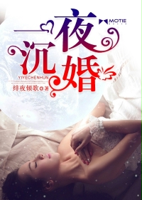 一夜沉婚封面