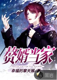 赘婿当家封面